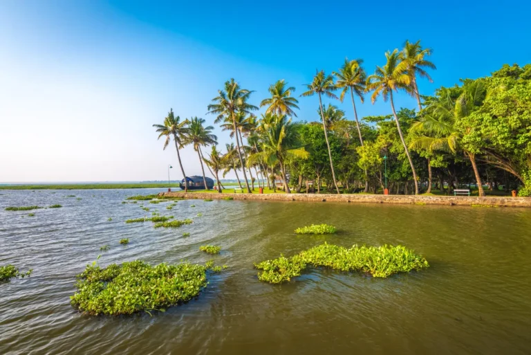 Digital Marketing Agency for Result-Driven Solutions